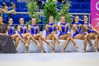 © ВФЭГ (RFAG)