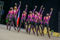 © ВФЭГ (RFAG)
