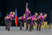 © ВФЭГ (RFAG)