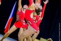 © ВФЭГ (RFAG)