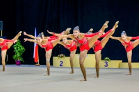 © ВФЭГ (RFAG)