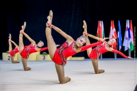 © ВФЭГ (RFAG)