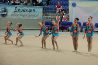 © ВФЭГ (RFAG)