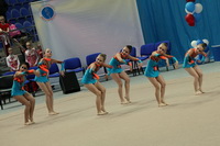 © ВФЭГ (RFAG)