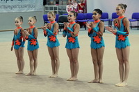 © ВФЭГ (RFAG)