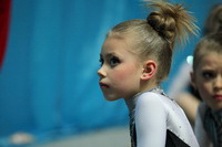 © ВФЭГ (RFAG)