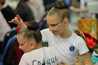 © ВФЭГ (RFAG)