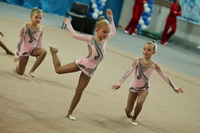 © ВФЭГ (RFAG)