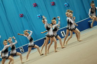 © ВФЭГ (RFAG)