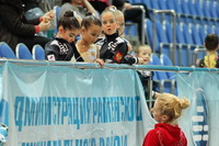 © ВФЭГ (RFAG)