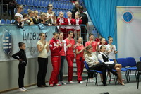 © ВФЭГ (RFAG)