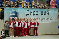 © ВФЭГ (RFAG)