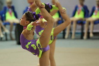 © ВФЭГ (RFAG)