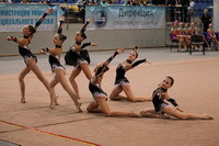 © ВФЭГ (RFAG)