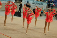 © ВФЭГ (RFAG)
