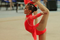 © ВФЭГ (RFAG)