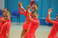 © ВФЭГ (RFAG)