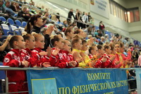 © ВФЭГ (RFAG)