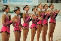 © ВФЭГ (RFAG)