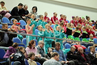 © ВФЭГ (RFAG)