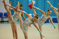 © ВФЭГ (RFAG)