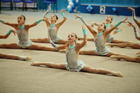 © ВФЭГ (RFAG)