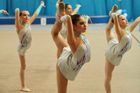 © ВФЭГ (RFAG)