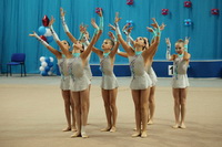 © ВФЭГ (RFAG)