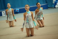 © ВФЭГ (RFAG)