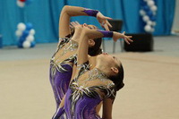 © ВФЭГ (RFAG)