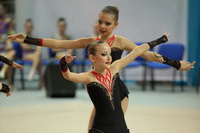 © ВФЭГ (RFAG)