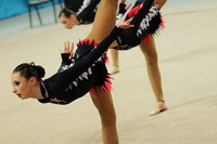© ВФЭГ (RFAG)