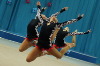 © ВФЭГ (RFAG)