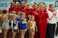 © ВФЭГ (RFAG)