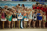 © ВФЭГ (RFAG)
