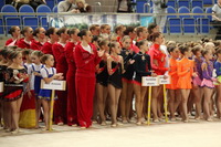 © ВФЭГ (RFAG)