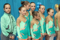 © ВФЭГ (RFAG)