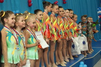 © ВФЭГ (RFAG)
