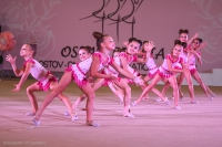 © ВФЭГ (RFAG)