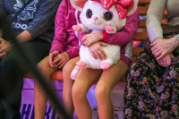 © ВФЭГ (RFAG)