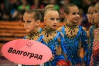 © ВФЭГ (RFAG)