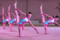 © ВФЭГ (RFAG)
