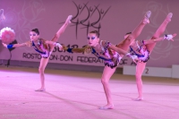 © ВФЭГ (RFAG)