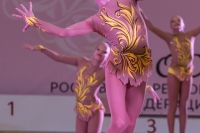 © ВФЭГ (RFAG)
