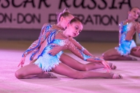 © ВФЭГ (RFAG)