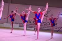 © ВФЭГ (RFAG)
