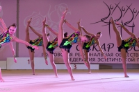 © ВФЭГ (RFAG)