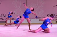 © ВФЭГ (RFAG)