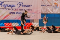 © ВФЭГ (RFAG)