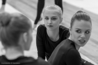 © ВФЭГ (RFAG)